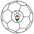 Drone Soccer India